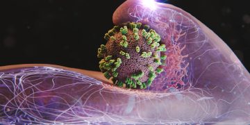 Células humanas “estendem a mão” ao vírus da gripe durante infecção