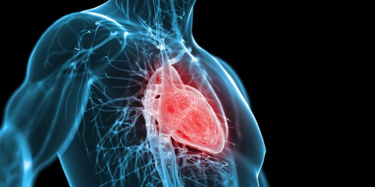 Cardiologista aponta sintomas que podem indicar problema no coração