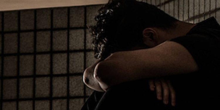 IA na saúde mental: plataforma gratuita auxilia pacientes no DF