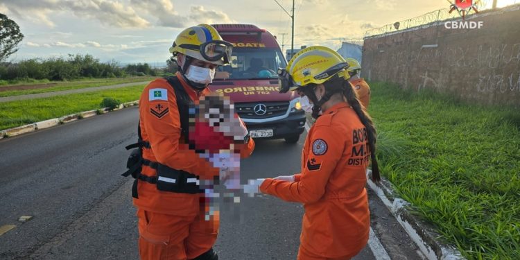 Bebê de 3 meses e menino de 4 anos são atropelados no DF