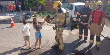 Cachorro é resgatado de incêndio em casa na manhã de Natal