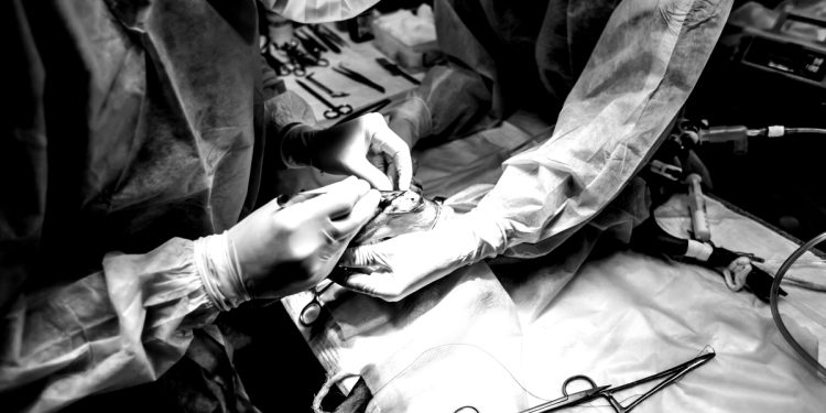 Homem morre após contrair raiva transmitida por órgão doado