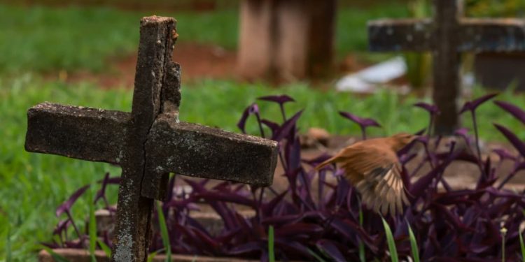 Descaso e abandono: cemitérios do DF têm 200 mil túmulos “esquecidos”