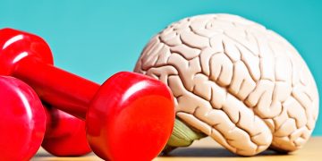 Exercício de 10 minutos pode “acordar” o cérebro antes de estudar