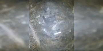 O que a polícia achou no galpão usado por advogado em ritual satânico