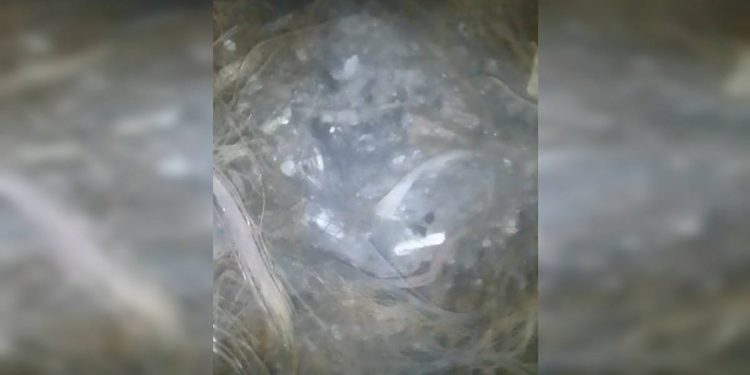 O que a polícia achou no galpão usado por advogado em ritual satânico