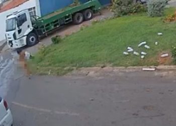 Mulher fica pelada no meio da rua após destruir jardim de praça no DF