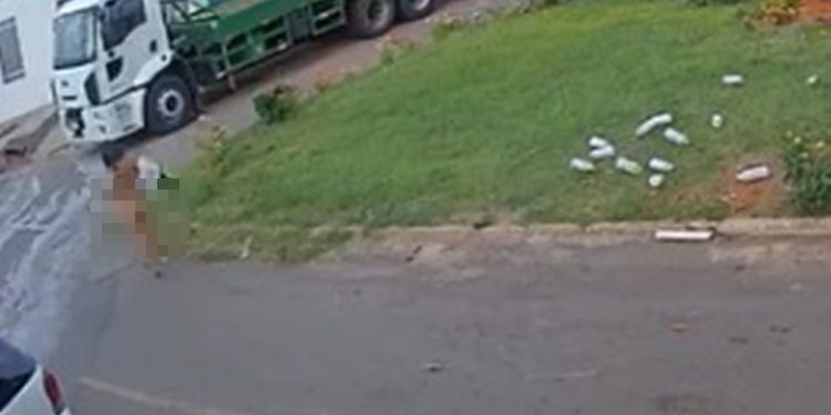 Mulher fica pelada no meio da rua após destruir jardim de praça no DF