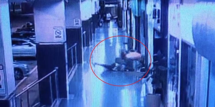 Flamenguista espancado por palmeirenses no DF: “Temi pela minha vida”