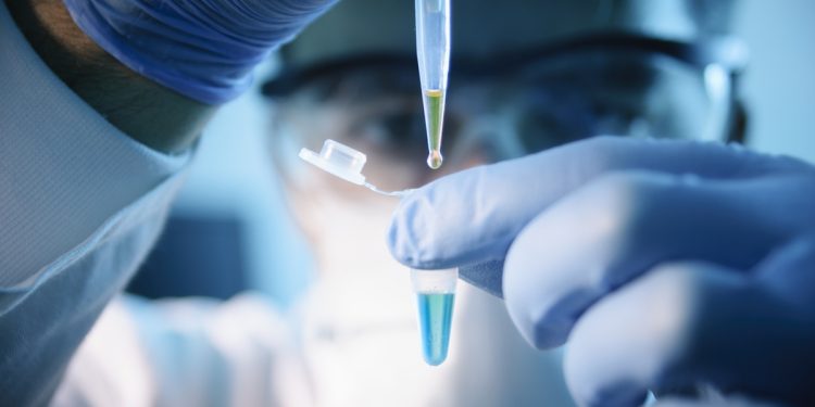 As principais pesquisas médicas de 2025, segundo revista científica