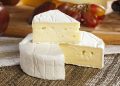 Queijo gorduroso pode reduzir risco de demência, sugere estudo