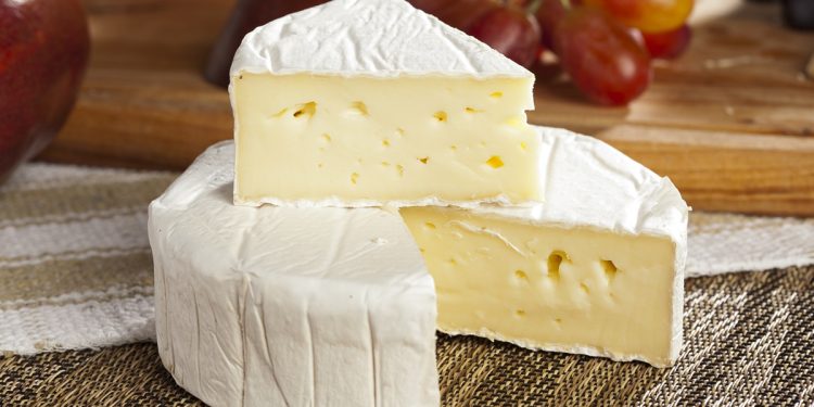 Queijo gorduroso pode reduzir risco de demência, sugere estudo
