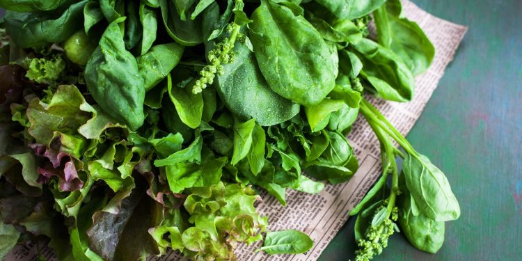 Nutricionistas listam 8 vegetais que podem ajudar a regular a glicose