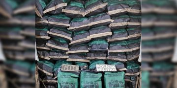 PM apreende meia tonelada de carvão em região do DF. Saiba o motivo