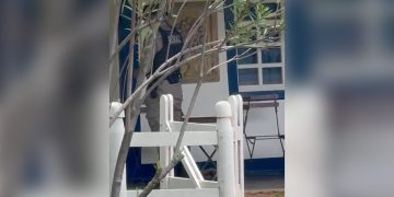 Ex-deputada Liliane Roriz é despejada de fazenda em briga com irmã. Veja vídeo