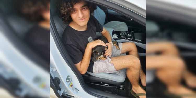 Cadelinha que fugiu assustada com fogos é encontrada pela PMDF