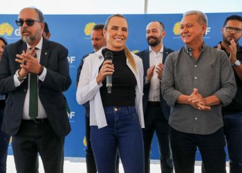 Celina declara tolerância zero para uso de animais em carroças no DF