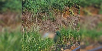 Corpo de homem é encontrado próximo a linha férrea no Entorno do DF