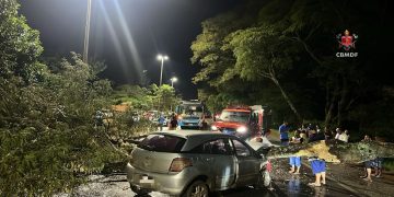 Árvore cai e atinge carro que trafegava em pista de rodovia do DF