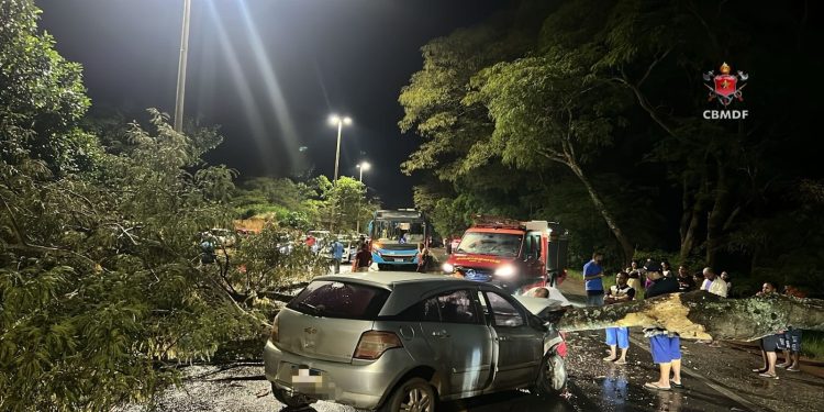Árvore cai e atinge carro que trafegava em pista de rodovia do DF