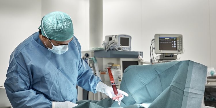 Transplante de medula parcialmente compatível já é eficaz, diz estudo