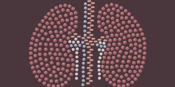 Remédio usado para artrite pode melhorar rins doados para transplante