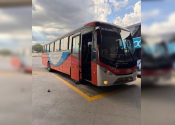 Empresa de ônibus do pai da governadora Raquel Lyra opera irregularmente em PE