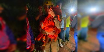 Criança se perde em área de mata do próprio condomínio em GO