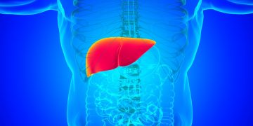 Endocrinologista lista os sintomas silenciosos da gordura no fígado
