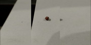 Bala perdida cai em casa e assusta casal durante o Réveillon no DF