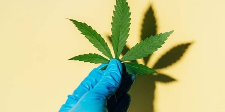 Técnico de enfermagem é preso por vender maconha por R$ 10 a cliente