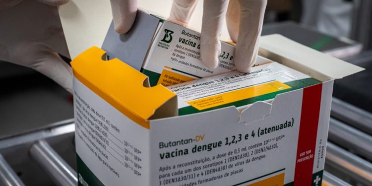 Dengue: SUS inicia testes da vacina do Butantan na próxima semana