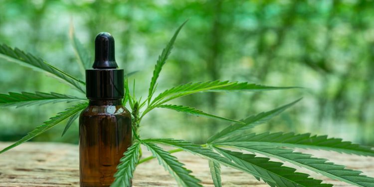 Conselho de Saúde de SP vota denúncia contra servidores por compra de canabidiol