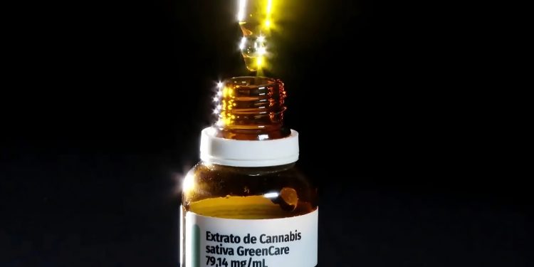 O cultivo de maconha começa a sair do armário no Brasil