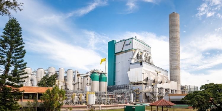 No Rio Grande do Sul, projeto de celulose de R$ 25 bilhões ameaça indígenas e o rio Guaíba