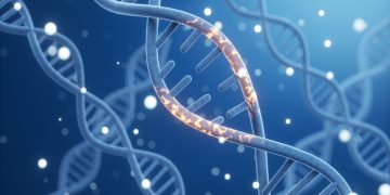 Estudo analisa DNA de milhares de brasileiros e acha mutações inéditas