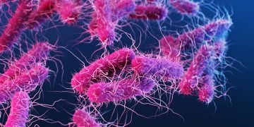 Conheça doença rara que deixa pessoas bêbadas mesmo sem ingerir álcool