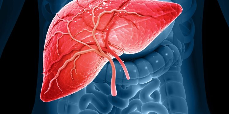 Médicos apontam sinais na pele que podem indicar gordura no fígado