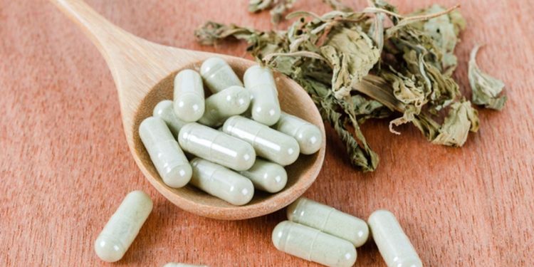 Anvisa atualiza fitoterápicos e cria lista de plantas proibidas