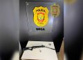 Homem é preso por matar cachorro com arma de pressão em região do DF