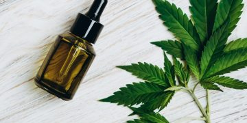 Terapia com óleo de cannabis reduz dor crônica, sugere estudo da UnB