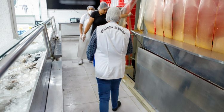 De carne a Monjauro: toneladas de produtos ilegais são apreendidas no DF