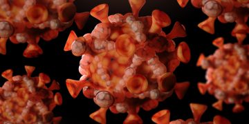 Mpox: estudo mostra evolução inusitada na doença e recomenda atenção