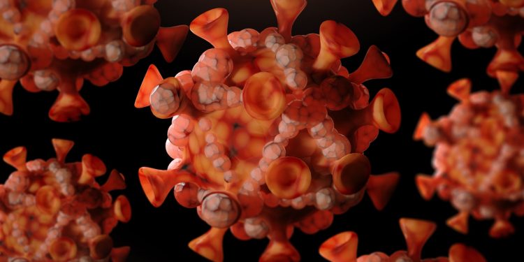 Mpox: estudo mostra evolução inusitada na doença e recomenda atenção