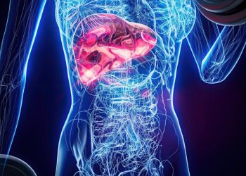 Endocrinologista aponta o melhor tratamento contra gordura no fígado