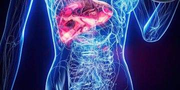 Endocrinologista aponta o melhor tratamento contra gordura no fígado