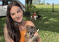 Tutora que quase matou cão é absolvida, mas impedida de tê-lo de volta