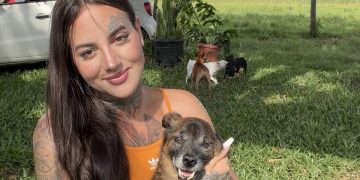 Tutora que quase matou cão é absolvida, mas impedida de tê-lo de volta