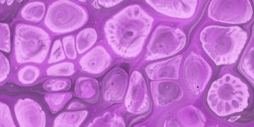 Uma pessoa morre e dezenas adoecem em surto fúngico raro nos EUA