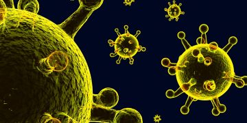 Opas alerta para circulação simultânea de vírus influenza e VSR